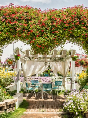 Dubai Miracle Garden Tickets